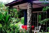 Cabañas Napohe – Isla de Pascua
