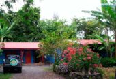 Cabañas Napohe – Isla de Pascua