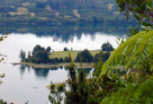 Eco Cabañas KimPiyan – Isla de Chiloé