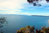 Parque Hostal Los Cahueles de Quicavi – Isla de Chiloé
