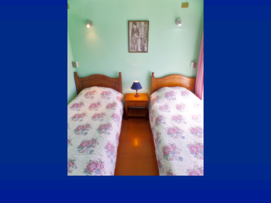 Fotografía 6 de Cabañas Bungalowlandia - Villarrica