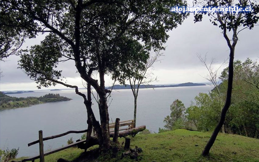 Fotografía 4 de Camping El Canto del Chucao - Lago Ranco