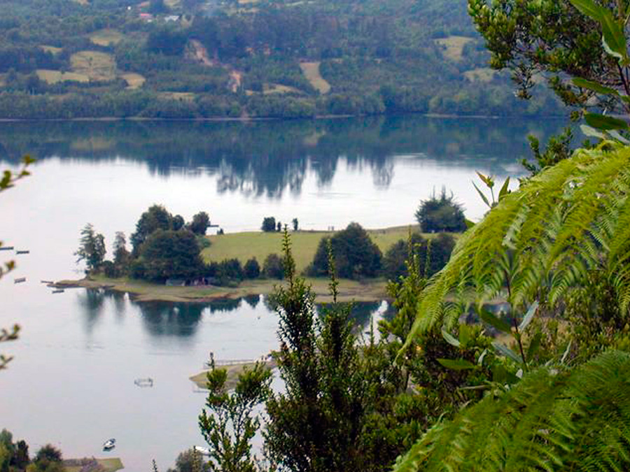 Fotografía 6 de Eco Cabañas KimPiyan - Isla de Chiloé