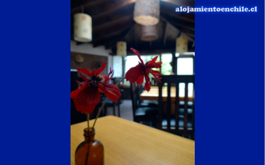 Fotografía 7 de Hostal Palos - Concón