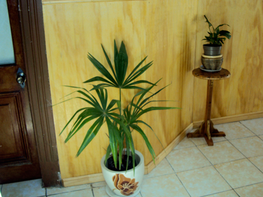 Fotografía 5 de Hostal Pleno Valpo - Vaparaíso