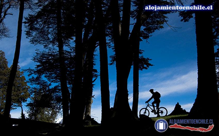 Fotografía 5 de Hotel Alto Melimoyu – Aysén