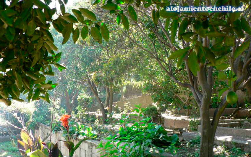 Fotografía 6 de Hotel SPA Puerto Natura - Valparaíso